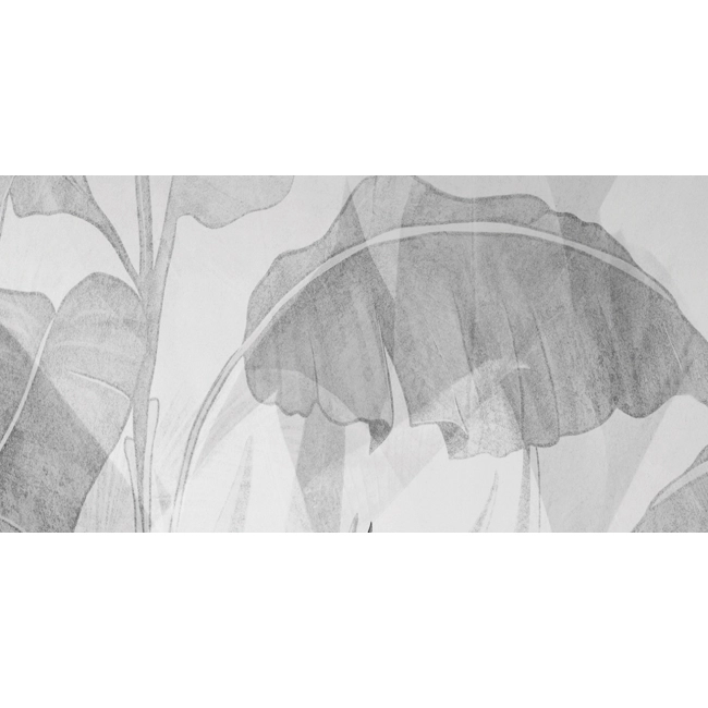 Fototapeta - liście czarno białe dżungla